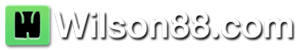 Wilson789 เว็บสล็อตแตกบ่อย อันดับ 1 ถอนไวทันใจ มั่นใจปลอดภัย 100%